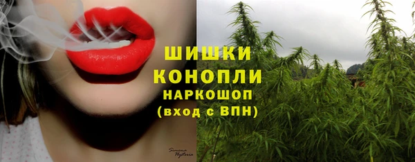 таблы Гусев