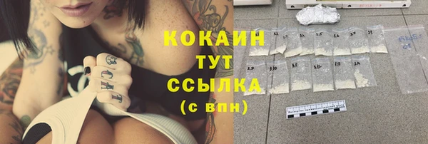 таблы Гусев