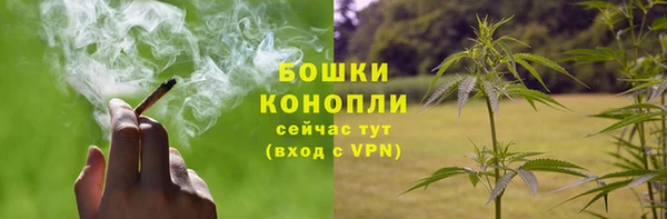 таблы Гусев