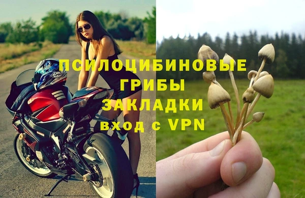 mix Гусиноозёрск