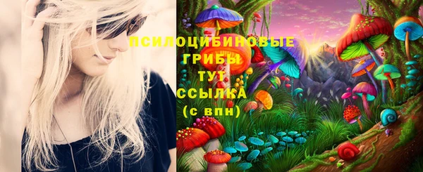 таблы Гусев
