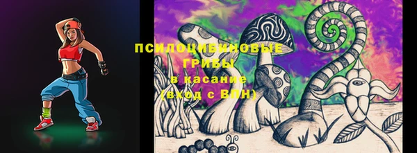 винт Гусь-Хрустальный