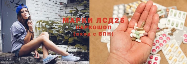 таблы Гусев