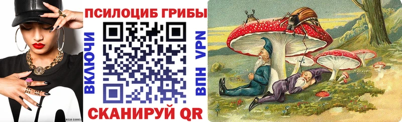 Псилоцибиновые грибы ЛСД  купить наркотик  hydra ONION  Можга 