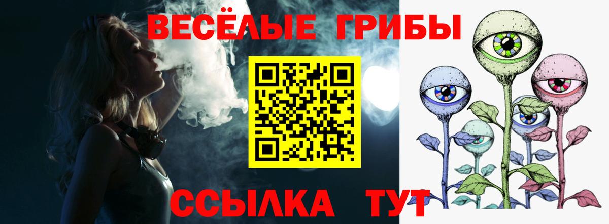 Псилоцибиновые грибы Psilocybe Можга