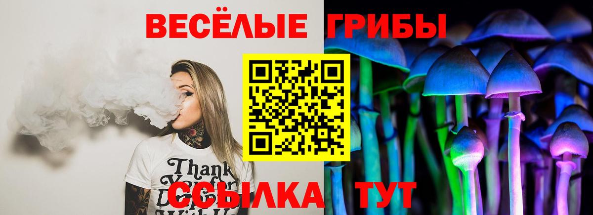 Галлюциногенные грибы MAGIC MUSHROOMS Можга